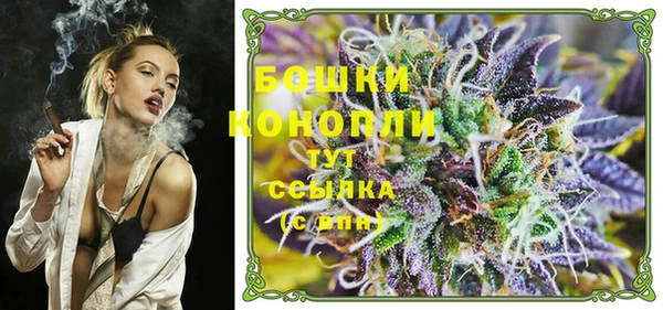 индика Белокуриха