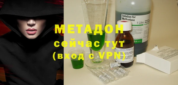 индика Белокуриха