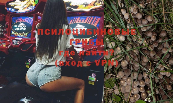 индика Белокуриха