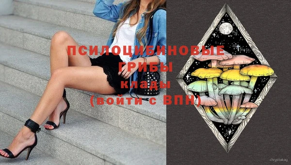 дживик Богородск