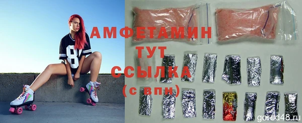 дживик Богородск
