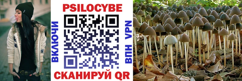 Галлюциногенные грибы Cubensis  где продают   Великий Устюг 